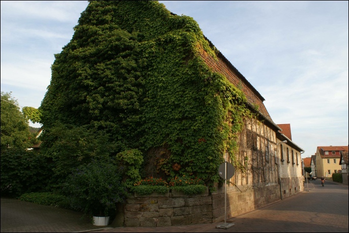 Festzelt, heiraten, romantischer Saal, edel, schick, Hochzeit im Zelt, Zelthochzeit